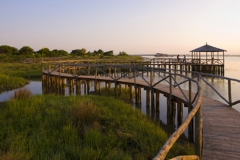 Il Giardino Ortobotanico / Il sistema di passerelle in legno