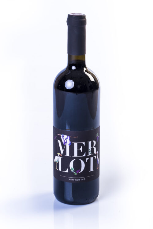 Merlot - Red Wine Veneto IGT