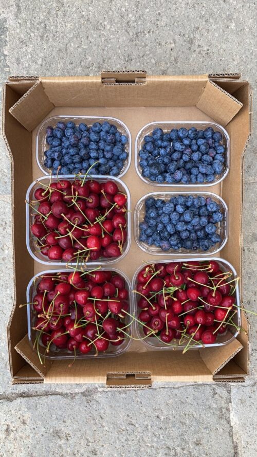 Cassettina Frutti di Bosco