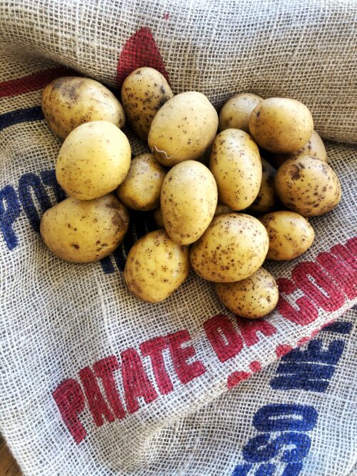 Patate Bio