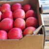 Cassetta avana Mele Bio 4 kg - immagine 3