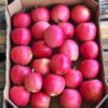 Cassetta avana Mele Bio 4 kg - immagine 2