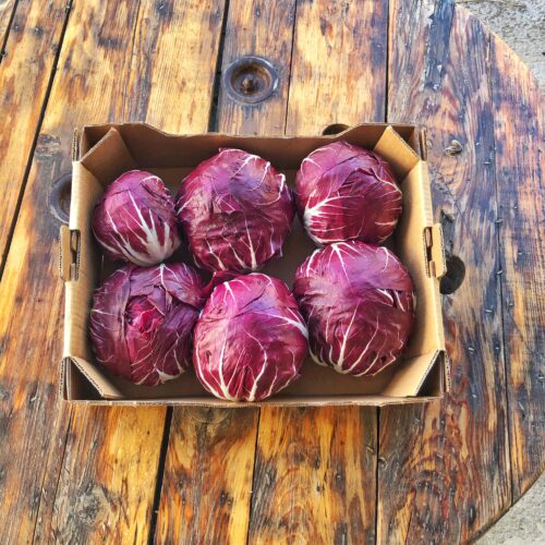 Cassetta di Radicchio tondo rosso