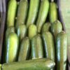 Cassetta zucchine biologiche - immagine 3