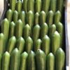Cassetta zucchine biologiche - immagine 2